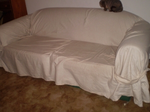 Sofa with slip cover
